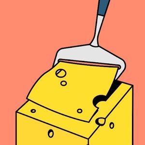 Meet your Posher, Gavin